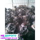 КПП Mazda 6 2.0 2008 2.0 бензин
КПП Mazda 3 1.6 2010 1.6 бензин
КПП Ford Focus 2005 1.9 дизель
КПП Renault Espace 4 2007 2.2 дизель
