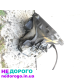 КПП Коробка передач МКПП F17 F17W374 Opel 1.3 CDTI Astra H Corsa D