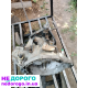 КПП коробка передач Renault Master 2.5dCi 1998-2010 PK5008