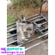 КПП коробка передач Renault Master 2.5dCi 1998-2010 PK5008