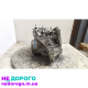 Механічна коробка передач 23007568717 23007568721 для 1.6 HDi MINI One, 2007 р.в., дизель,  об'єм двигуна 1.6 л.