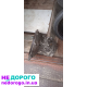 КПП Опель Астра Ж