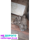 КПП Опель Астра Ж