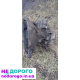 Кпп Опель вектра