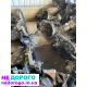 КПП Renault Kangoo 1.9 D TD 2005 1.9 л дизель, Clio 1.5 DCI 2010 1.5 л дизель, Megan 1.5 DCI 2008 1.5 л дизель.