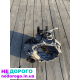 кпп шкода фабія 2,CBZ,коробка фабія 1.2TSI,коробка шкода фольксваген