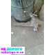 КПП в зборі для Таврія Сенс, 2005 рік, 1.4 л, бензин.