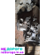 КПП Volkswagen Passat B3 Syncro 4×4, 1990, 2.0 літра бензин.