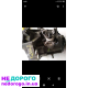 Механічна коробка передач до Шкода Фабія 2, 2008