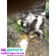 Механічна коробка передач Mazda 626 gc 1986 2.0 бензин.