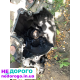 Механічна коробка передач Mazda 626 gc 1986 2.0 бензин.