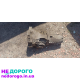 Механічна коробка передач, ZF 6S-850, 2010, 2.0 л дизель.