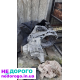 МКПП 6-ступка VW Transporter 2.5 tdi T5 4x4, 2005, 2.5 л дизель.