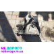 МКПП 5-ступка Ford Fiesta 5 Mazda 2 1.4tdci, 2008, 1.4 л дизель.