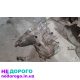 МКПП F18 5-ступка Opel Astra F 1.7 td