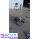 МКПП Ф17Ц374 коробка f17c374 astra zafira астра зафіра зафира опель
