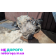 Двигун Kia Sportage 2 2.0 CRDi S714JE M5GF2, 2014 року, дизель, 2.0 л.
