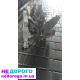 МКПП Mazda 3 BK 1.6 2003, 1.6 л, бензин.