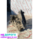 МКПП коробка механика Toyota RAV-4 II 2000-2005 2.0 бензин