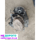 МКПП Citroen Berlingo 1.9 20DM47, 2003 рік, 1.9 л дизель.