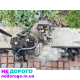 МКПП коробка передач механика EGS Skoda Seat VW Audi