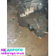Коробка передач МКПП Mitsubishi Space Star 1.9D 2001-2004 р. Україна.