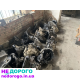 Коробка передач МКПП Land Rover Freelander 1, 2001 рік, 2.0 літра бензин.