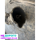 Коробка передач МКПП Nissan Navara 2.5 1995, об'єм двигуна 2.5 л, паливо - дизель.
