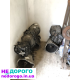 Коробка передач МКПП для Mercedes Vito w638/w639, Sprinter w903/w906, tip tronic, 2005 рік, 2.2 л дизель.