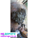 МКПП Mitsubishi Galant 96-99 2.0 1996-1999 2.0 л бензин.