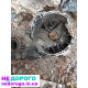 МКПП Nissan X-Trail, RS6F51A, 2014, 2.0 л, бензин.