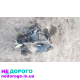 МКПП Peugeot Partner 407 207 Citroën Berlingo C2,3,4,5 1.6hdi 05> - 1.6 л дизель, 2005 р.