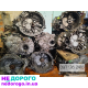 Мкпп Рено 2.0 коробка Renault Trafic Vivaro Primastar Master 2.3