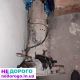 МКПП Subaru Impreza WRX 5 ступ