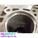 Двигун Opel C14NZ, 1.4 л, бензин, капітальний ремонт, в Україні.