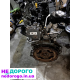 Двигун 2.0 EcoBoost для Ford Escape та Edge, 2020 рік, бензиновий, об'єм 2.0 л.