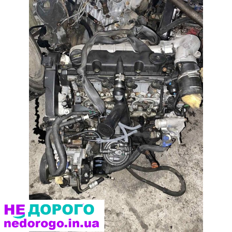 Мотор 2.0 Skoda Expert, 2020, 2.0 л, бензин.
