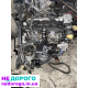 Мотор 2.0 Skoda Expert, 2020, 2.0 л, бензин.