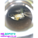 Двигун VQ35HR, 3.5 л, бензин, Infiniti QX70, FX35, EX35, M35, 350Z, випущений в Україні.