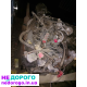 Мотор 5.4 Ford F150 2008: двигун 5.4 л, бензин, модель 2008.