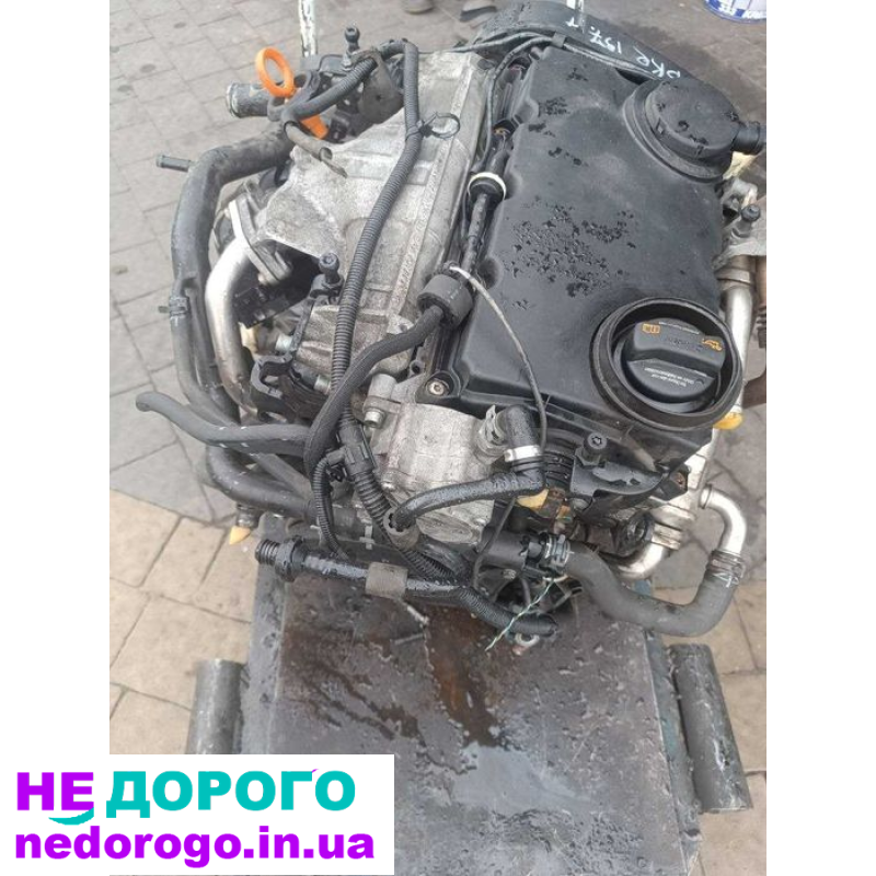 Мотор Audi A6 C6, A4 B7 2.0 TDI BRE, дизель, 2007 рік, 2.0 л, турбодизель.