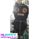 Двигун Audi 2.0 TSI EA888 2019, 2.0 л бензин.