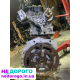 Двигун Audi Q5 2019, 2.0 бензин, 40 т км, укр. реєстрація: EA888, 2019, 2.0 л, бензин.