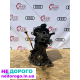 Двигун BKE 1.9 TDI, Volkswagen, 2008, 1.9 л, дизель.