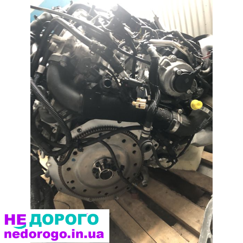 Мотор CNH 2.0 дизель 2016р 17км новий, об'єм двигуна 2.0 л, паливо дизель.