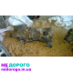 Двигун Opel Frontera 2.2 TDI 85 кВт 2002 рік.