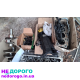 Мотор Двигатель 1.5 Renault Kangoo 2008, об'єм 1.5 л, бензин.
