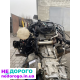 Двигун Ford Transit 2.4 tdci PHFA 06-11, дизель, 2.4 л.