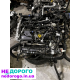 Двигун Ford Escape 1.5 EcoBoost, Mk4 2020-2021, 1.5 л, бензин.