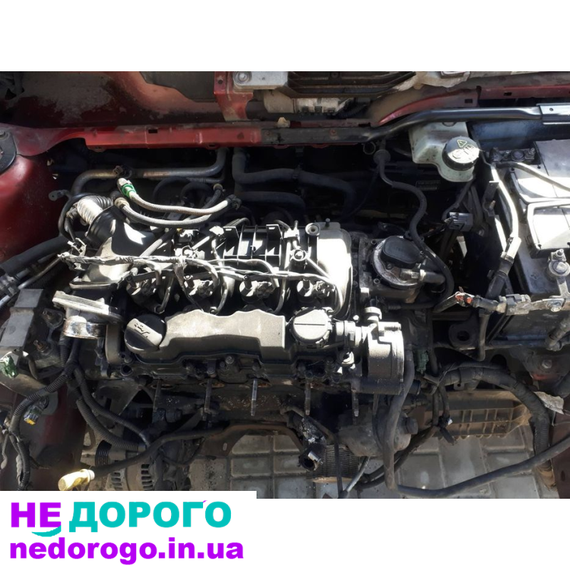 Двигун Ford Focus 1.6 2005 1.6 л бензин.